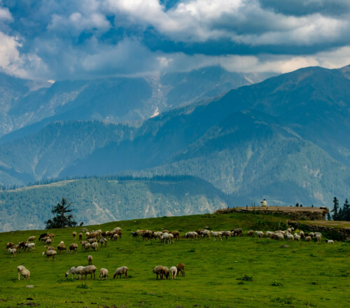 services-img-01 Services Img 01