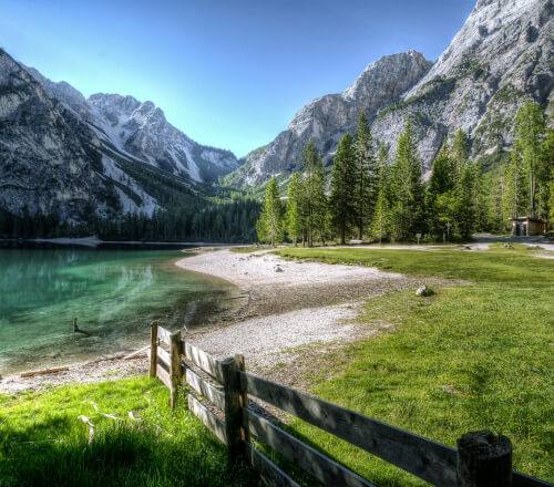 services-img-03 Services Img 03